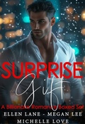 Cover: Surprise Gift: A Billionaire Romance Boxed Set - Michelle Love