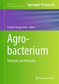 Bild: Agrobacterium - Humana
