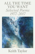 Cover: All the Time You Want - Dzanc Books