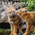 Cover: 2026 Baby Animals Wall Calendar - Earth Aware Editions