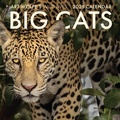 Cover: 2026 Big Cats Wall Calendar - Earth Aware Editions
