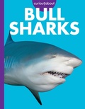 Cover: Curious about Bull Sharks - AMICUS INK