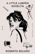 Cover: A Little Lumpen Novelita - Picador