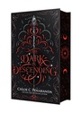Cover: The Dark Is Descending - St Martin's Press