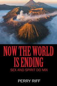 Abbildung von: Now the World is Ending - Outskirts Press