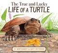 Cover: The True and Lucky Life of a Turtle - HarperCollins