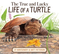 Enlarge image Cover: The True and Lucky Life of a Turtle - HarperCollins