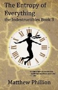 Cover: The Entropy of Everything - Lost Continuity Press