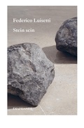 Cover: Stein sein - Diaphanes