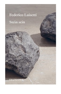 Enlarge image Cover: Stein sein - Diaphanes