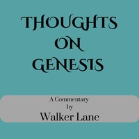 Enlarge image Cover: Thoughts On Genesis - Walker Lane