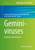 Bild: Geminiviruses - Humana