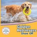 Cover: Golden Retrievers Show Off - Xist Publishing