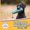 Cover: Labrador Retrievers Show Off - Xist Publishing