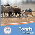 Cover: Corgis at Work - Xist Publishing