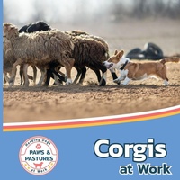Enlarge image Cover: Corgis at Work - Xist Publishing