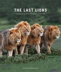 Enlarge image Cover: The Last Lions - Struik Nature