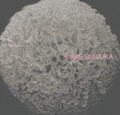 Cover: Kunie Sugiura - Mack