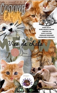 Abbildung von: Vies de chats - Eveil & vous Editions