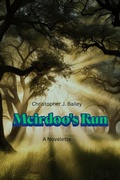 Cover: Meirdoo's Run - Christopher J. Bailey