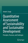 Cover: Quantitative Assessment of Sustainability and Sustainable Development - Springer
