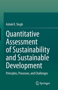 Abbildung von: Quantitative Assessment of Sustainability and Sustainable Development - Springer