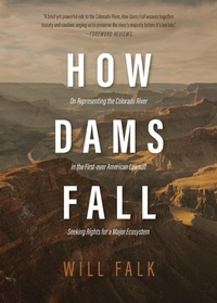 Abbildung von: How Dams Fall - Wayfarer Books