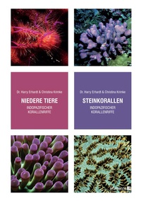 Bild: Steinkorallen/Niedere Tiere indopazifischer Korallenriffe - Lehmanns Media
