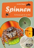 Cover: Spinnen - BVK Buch Verlag Kempen