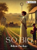 Cover: So Big - Passerino