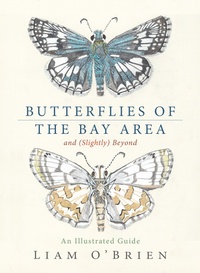 Abbildung von: Butterflies of the Bay Area and (Slightly) Beyond - Heyday Books