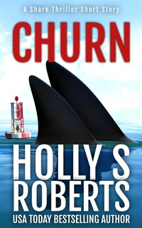Enlarge image Cover: Churn - Wicked Story Telling
