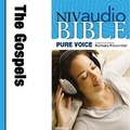 Cover: Pure Voice Audio Bible - New International Version, NIV (Narrated by Barbara Rosenblat): The Gospels - HarperCollins Christian