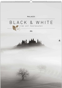 Abbildung von: Black & White 2026 - Bildkalender 50x70 cm - Wandkalender XL - schwarz-weiß - Kunst - Hochformat - Palazzi - Palazzi