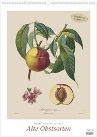 Abbildung von: Pierre Antoine Poiteau: Alte Obstsorten 2026 - DUMONT Kunst-Kalender - Poster-Format 50 x 70 cm - DuMont Buchverlag