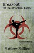 Cover: The Indestructibles - Lost Continuity Press