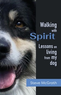 Enlarge image Cover: Walking with Spirit - Steve McGrath