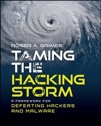 Enlarge image Cover: Taming the Hacking Storm - Wiley