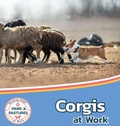 Cover: Corgis at Work - Xist Publishing