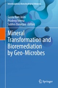 Cover: Mineral Transformation and Bioremediation by Geo-Microbes - Springer