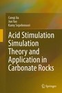 Cover: Acid Stimulation Simulation Theory and Application in Carbonate Rocks - Springer Nature Switzerland AG