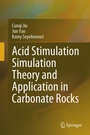 Cover: Acid Stimulation Simulation Theory and Application in Carbonate Rocks - Springer