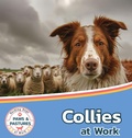 Cover: Collies at Work - Xist Publishing