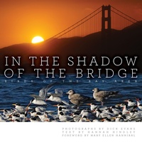 Enlarge image Cover: In the Shadow of the Bridge - Heyday Books