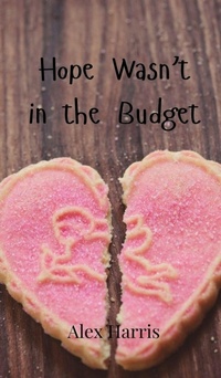 Enlarge image Cover: Hope Wasn't in the Budget - Creative Arts Management Ou