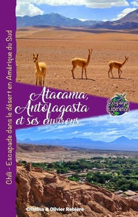 Abbildung von: Atacama, Antofagasta et les environs - Cristina & Olivier Rebiere