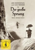 Cover: Der gro&aacute;e Sprung - 375 Media GmbH
