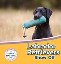 Cover: Labrador Retrievers Show Off - Xist Publishing