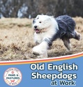 Cover: Old English Sheepdogs at Work - Xist Publishing