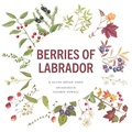 Cover: Berries of Labrador - Memorial University Press